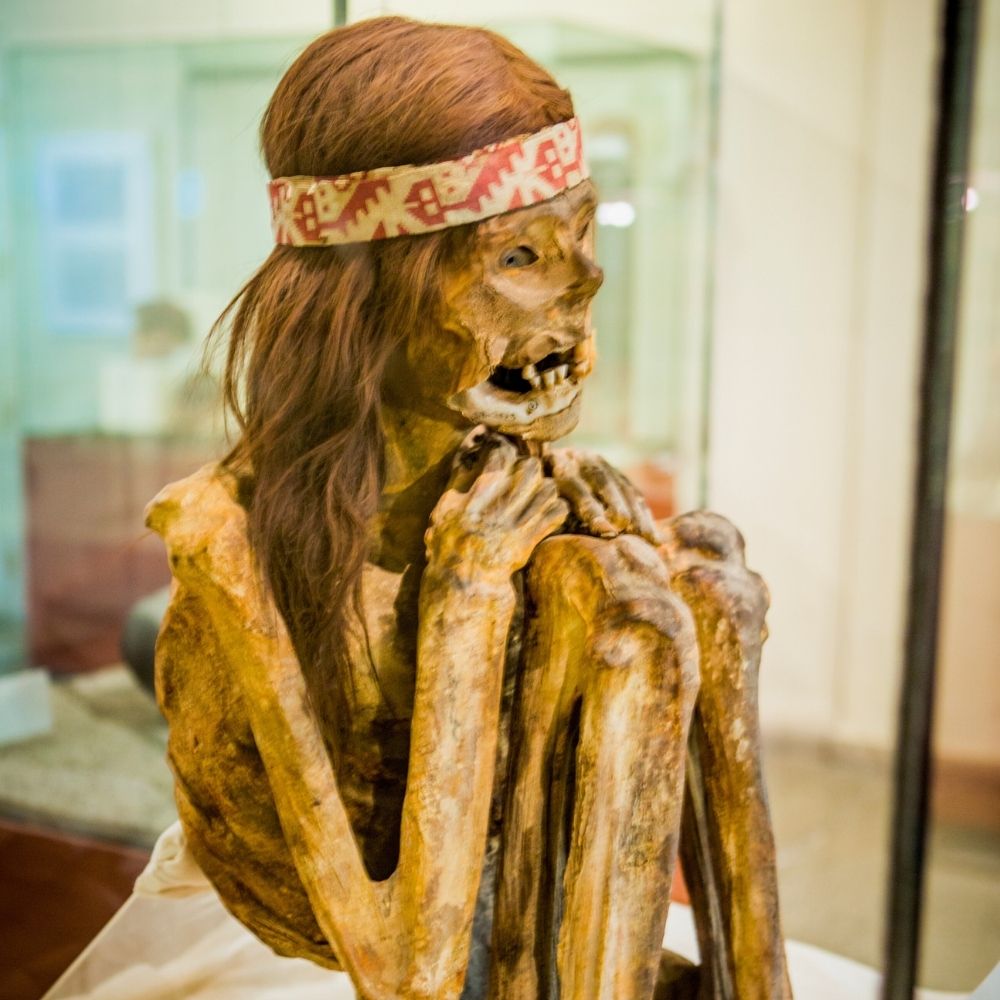 Well-preserved pre-Columbian mummy displayed in a museum near Ica, showcasing Peru's rich archaeological heritage.