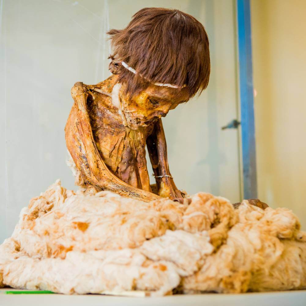 Ancient mummy displayed at the Ica Archaeological Museum during the Tour to Huacachina Oasis in Peru