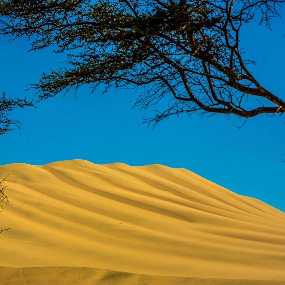 Massive golden sand dunes in the Huacachina desert near Ica Peru