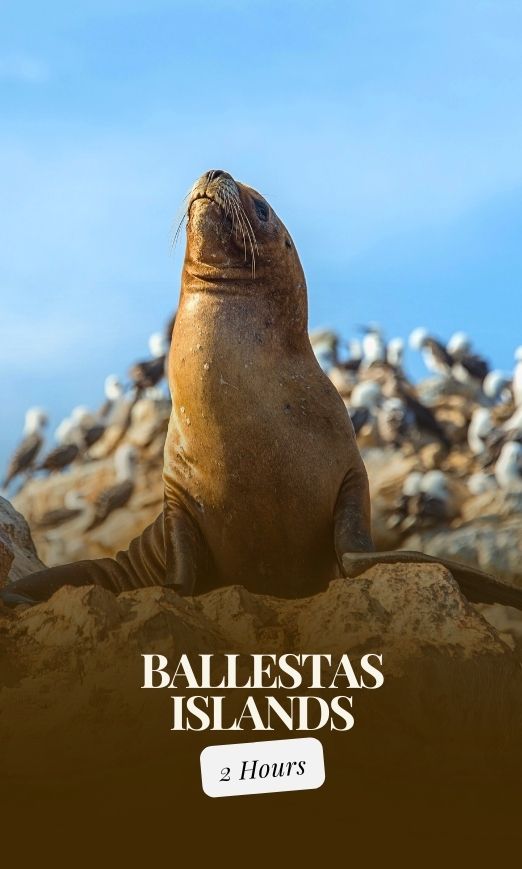 Bootsausflug zu den Ballestas-Inseln im Meeresreservat Paracas