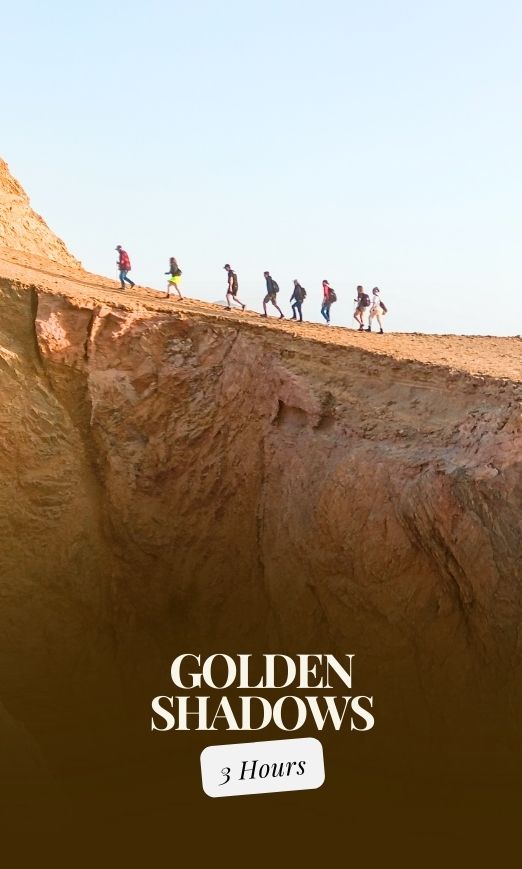 Goldene-Schatten-Touren auf der Halbinsel Paracas