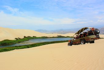 Oase Moron in Paracas