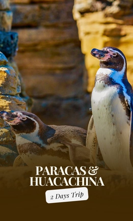 Paracas & Huacachina, 2-Tage-Reise ab Lima