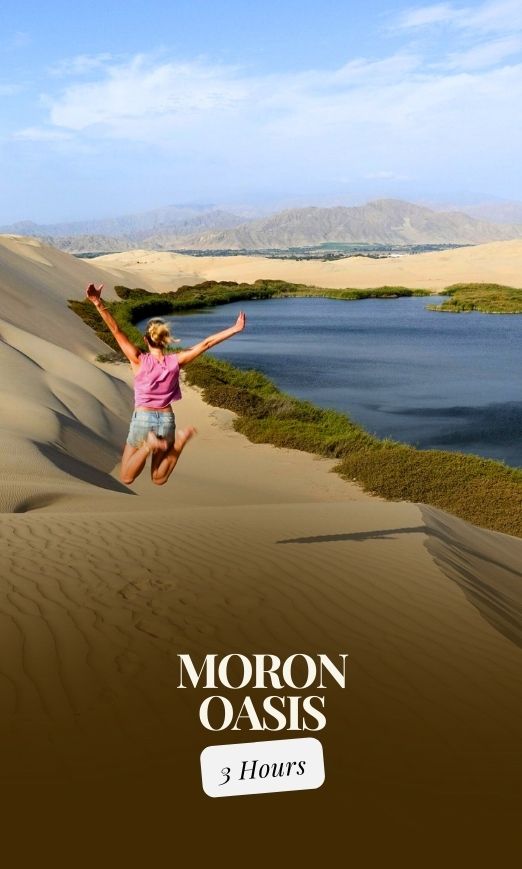Tour zur Lagune Moron ab Paracas