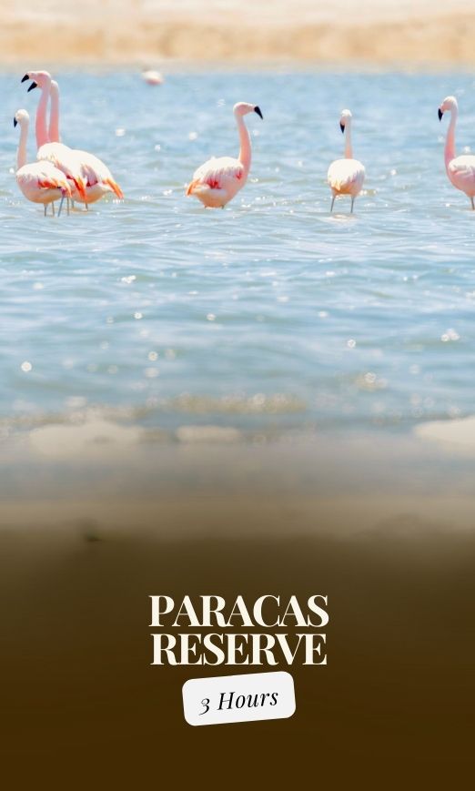 Tour in den Nationalpark Paracas