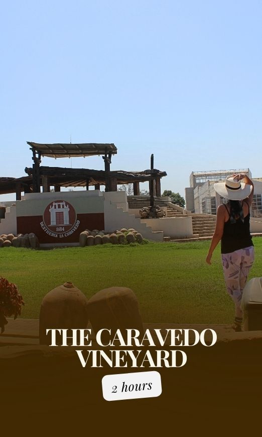 Tour zum Weingut La Caravedo