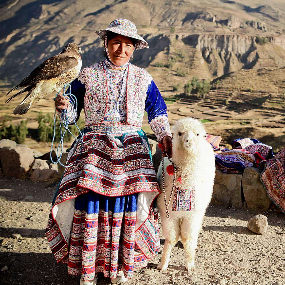 Traditional woman wearing embroidered Andean clothing with an alpaca and bird of prey in the Colca Valley during the Colca Canyon Tour from Puno.