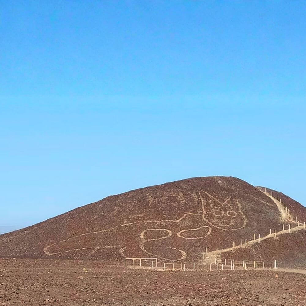 Ancient Nazca Cat Geoglyph carved into a desert hillside in Nazca, Peru.