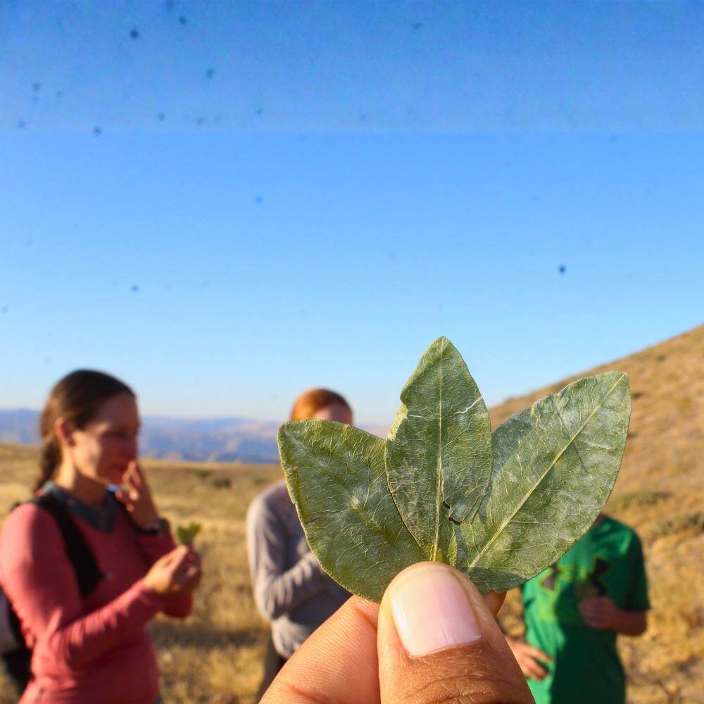 Travelers doing a ceremony with Coca leaves during a guided Cerro Blanco hiking.