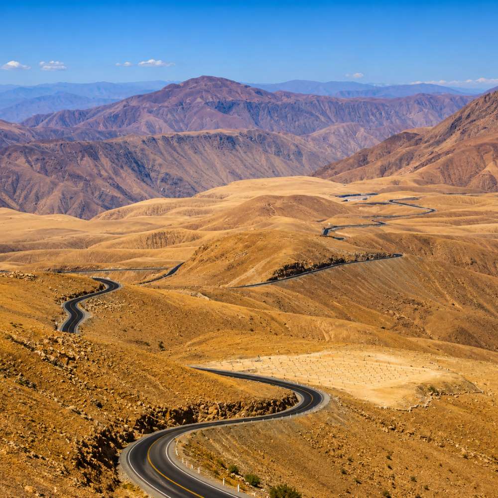 Tour to Pampas Galeras from Nazca