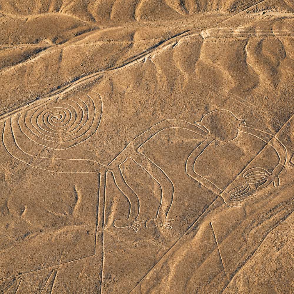 Monkey geoglyph etched into the desert landscape of Palpa, Peru, seen during a Nazca Palpa Lines Flight.