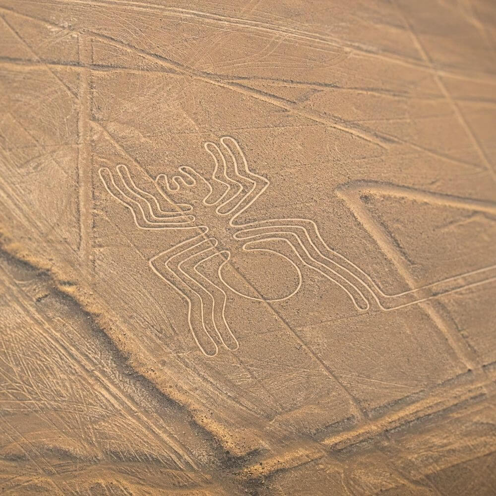 The famous Spider geoglyph viewed from above during the Nazca Lines Tour from Cusco, Peru.