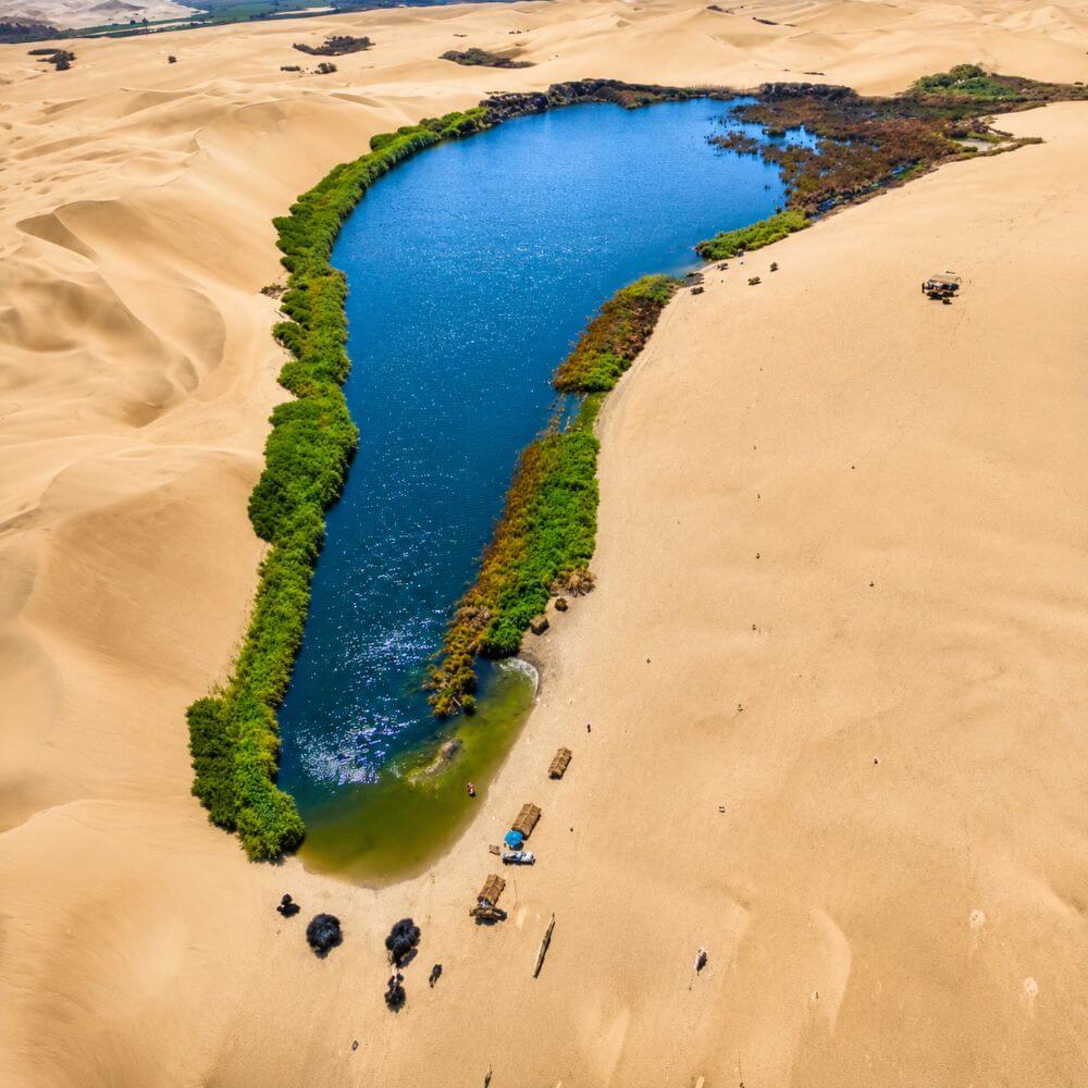 Traveler jumping beside the lagoon and sand dunes during the Oasis Morón Tour from Paracas in southern Peru.