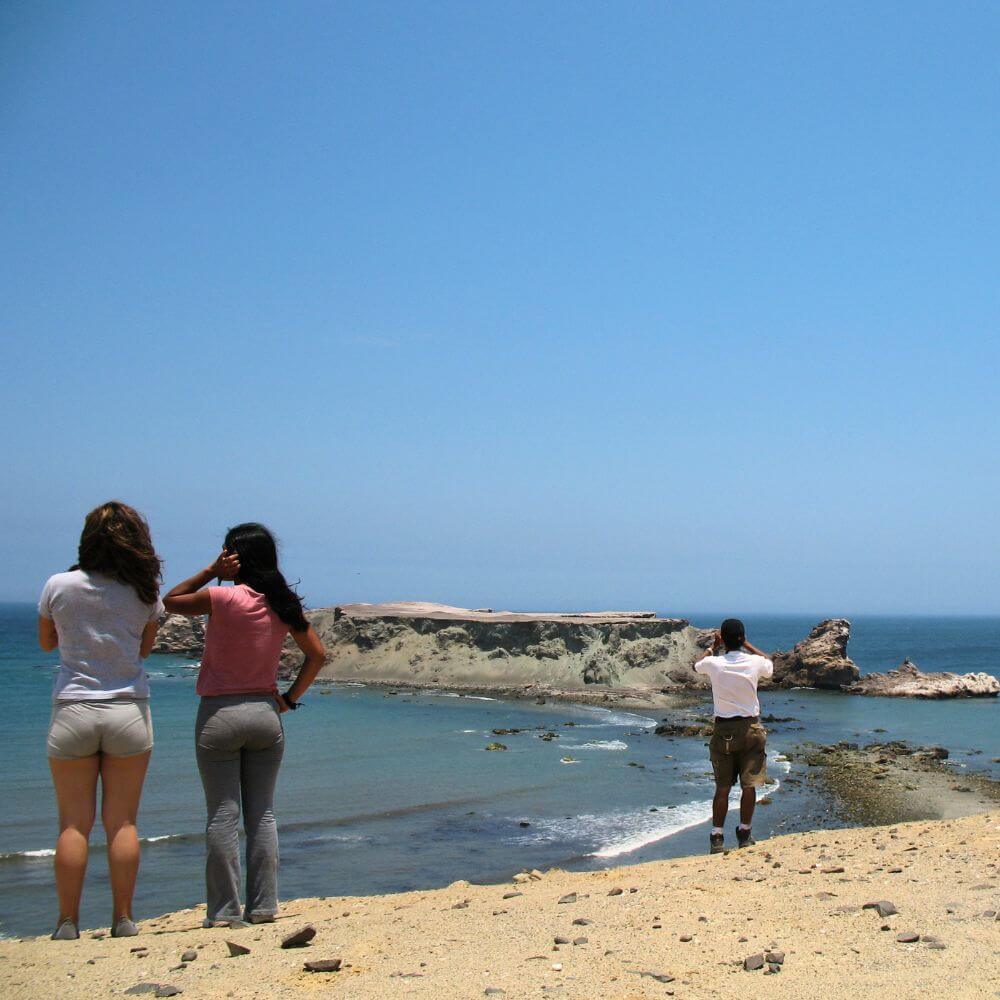 Travelers admiring the spectacular coastal scenery of San Fernando Bay during a private 4x4 tour from Nazca, Peru.