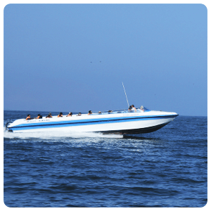 Boat tour in Paracas