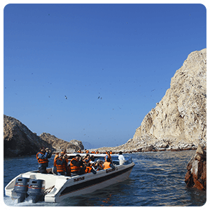 Boat tour to the Ballestas
