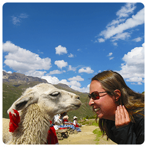 Fauna andina en la visita al valle del Colca