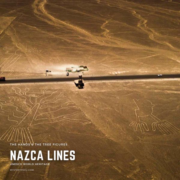 The Nazca Lines Frog and the Tree Geoglyphs.