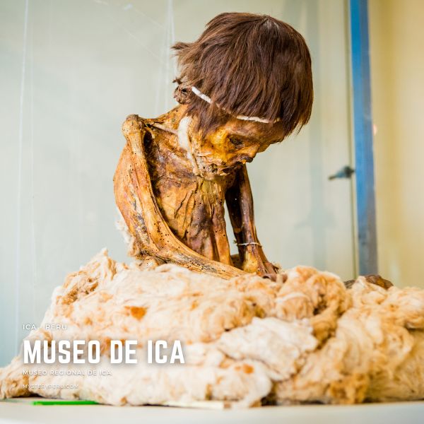 Museo Arqueológico de Ica Un Viaje al Pasado de Peru
