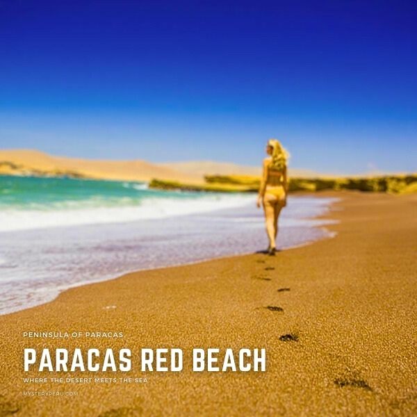 Visit to the Red Beach of Paracas.