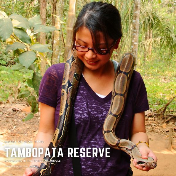 Tour to the Tambopata Reserve.