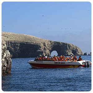 Paseo en bote en las Islas Ballestas