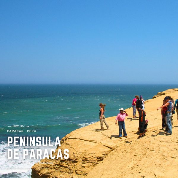 Tour en la Peninsula de Paracas