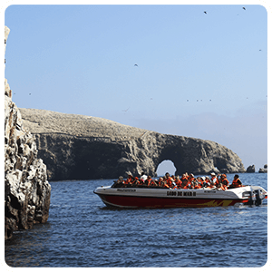 Islas Ballestas de la Reserva Natural de Paracas