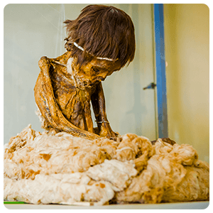 Momia de un infante en el museo regional de Ica