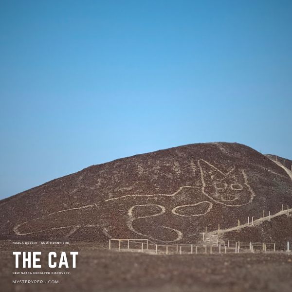 Cat Geoglyph, new Nazca Lines Discovery