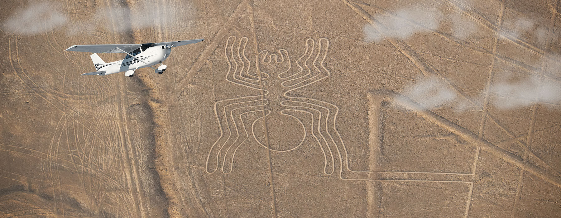 Spider - Nazca Lines Desert