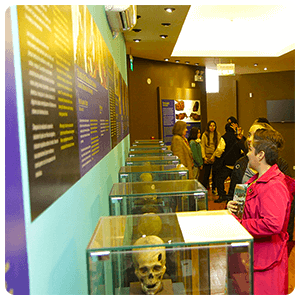 Tour Guiado al Museo de Arqueologia y Antropologia del Peru