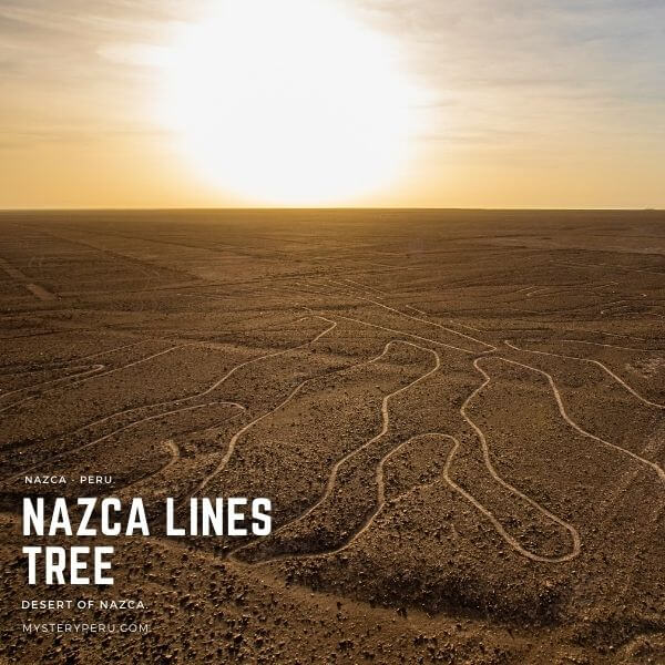 Tour to the Nazca Lines by land.