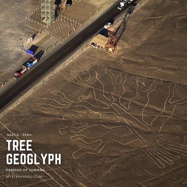 Nazca Lines Flight over the Tree Geoglyph