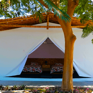 Albergue Nazca Lodge