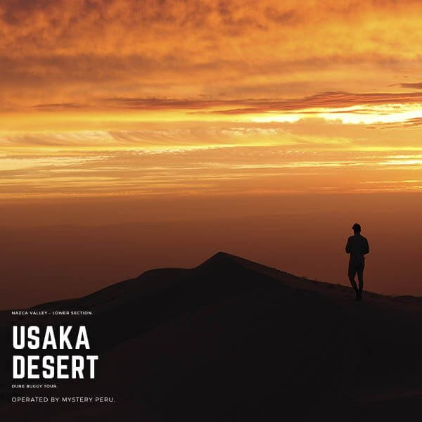 Excursion to the Usaka desert in Nazca