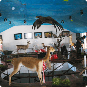 Museum of Pampas Galeras