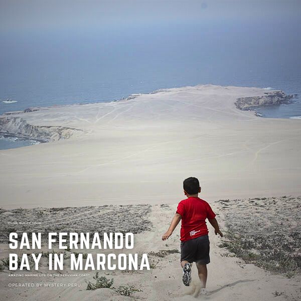 San Fernando Bay in Marcona - Family Tour