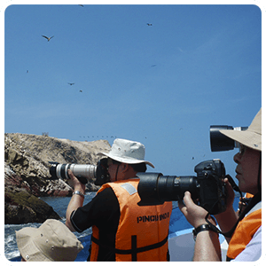 Ballestas Islands and Nazca Lines Full Day Trip 4