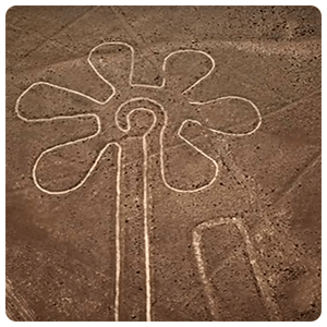 Figure of the flower in Nazca desert.