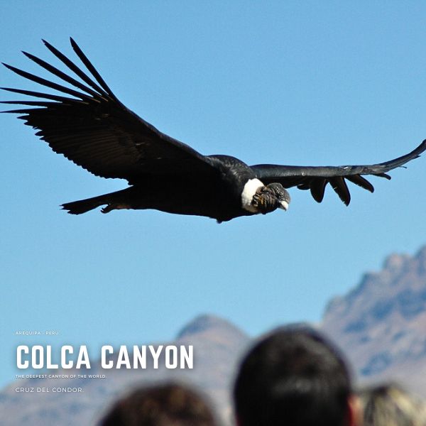 Colca Canyon Trip