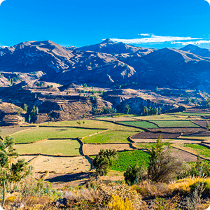 Colca Canyon Tour and Trip to Puno