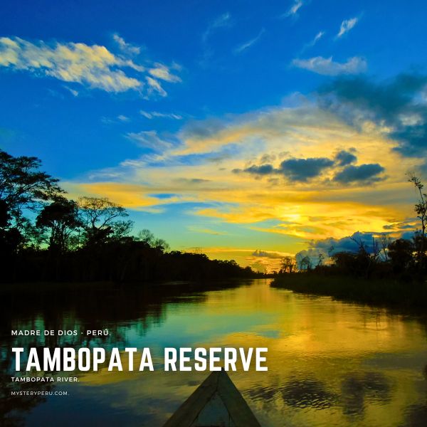 Tambopata Reserve