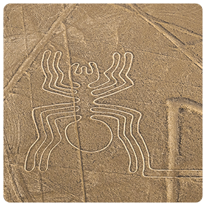 Spider figure on the nazca Desert.