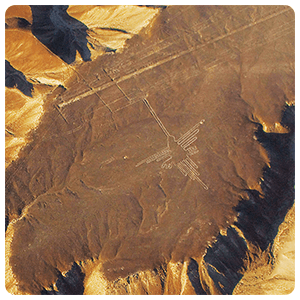 Nazca Lines and Paracas Day Trip from Lima