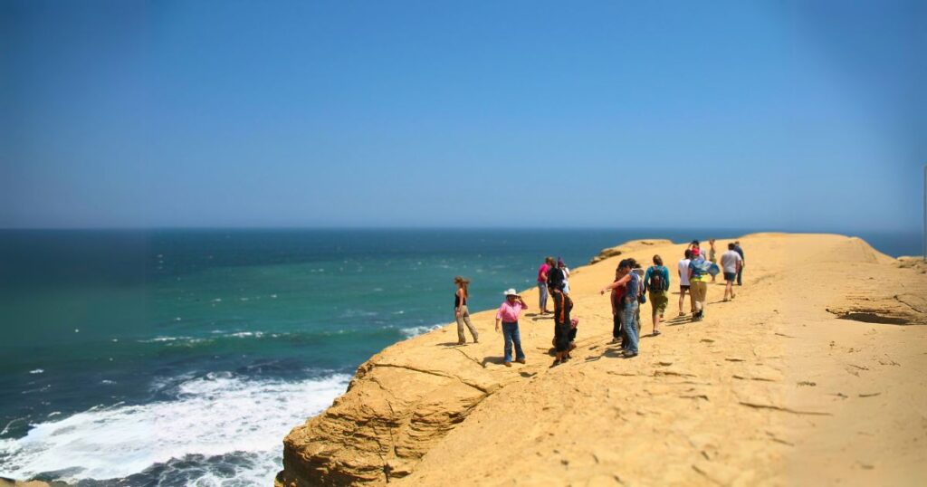 Tour to Paracas