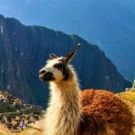 AMAZING PERU