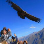 COLCA CANYON TOUR FROM PUNO