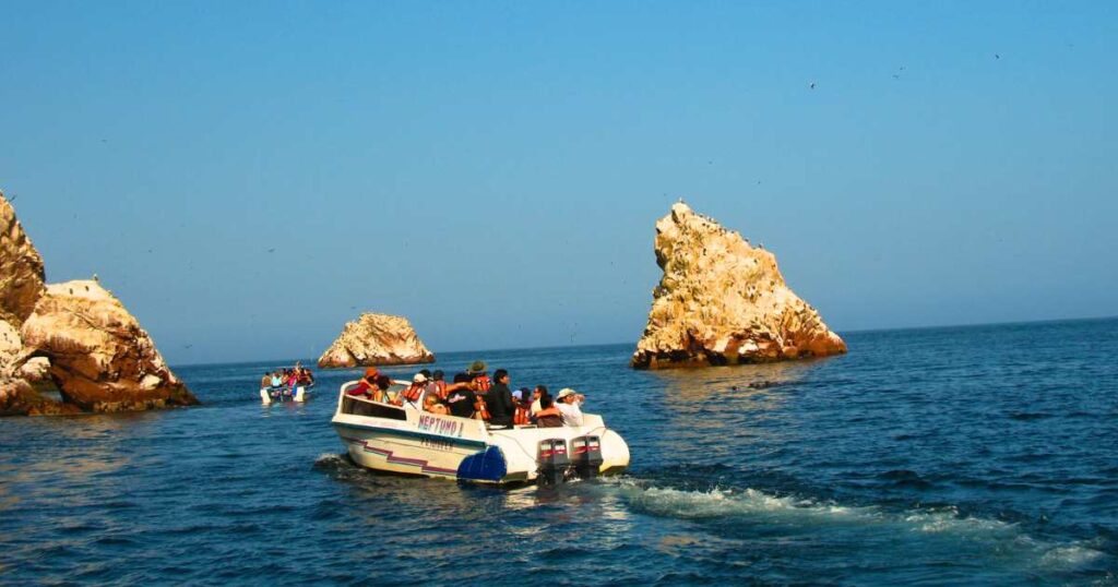 Tour to the Ballestas Islands and Nazca Lines from Lima
