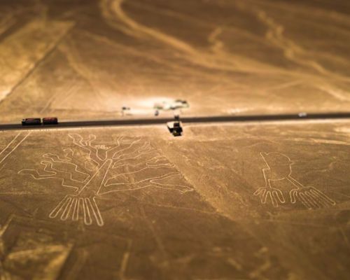Explore the Nazca Lines Tree geoglyph from the air.